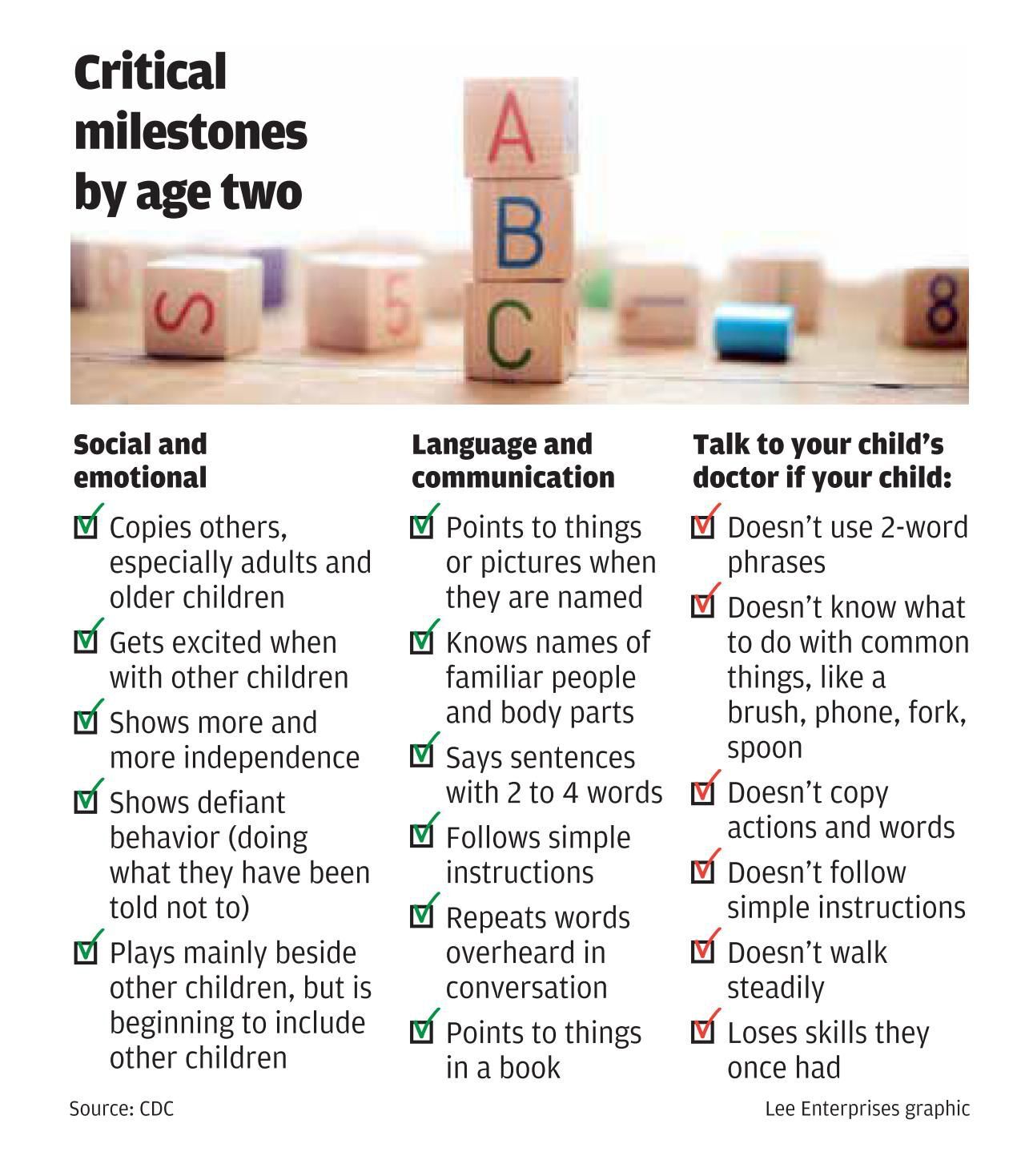 Critical milestones by age two.jpg